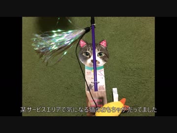 【こげつく】新しいおもちゃと犠牲になるスリッパ