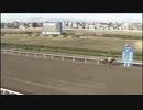 2018年3月22日浦和競馬10R マルチフレンド特別(JRA500万下・B2B3) ノブワイルド