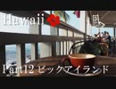 【ゆっくり】南国ハワイ一人旅　Part12　ビックアイランド