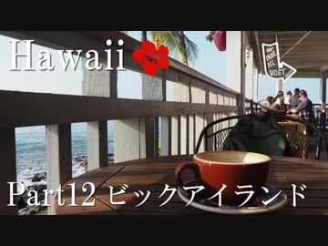 【ゆっくり】南国ハワイ一人旅　Part12　ビックアイランド