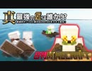【日刊Minecraft】真・最強の匠は誰か！？絶望的センス4人衆がMinecraftをカオス実況第二十話！
