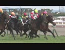2018/03/24 中京10R 大寒桜賞（3歳500万下）【ダノンマジェスティ】