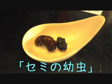 珍食珍道中　45品目　赤狼「セミの幼虫」