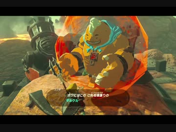 （６３）はじめてのゼルダの伝説ブレスオブザワイルド