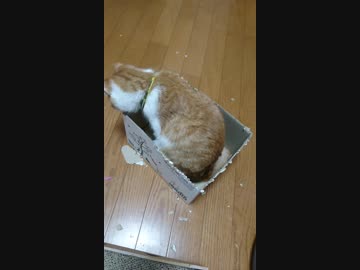 イタズラ小僧
