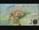 厄災を振り払う剣となれ ゼルダの伝説ブレスオブザワイルドを実況22