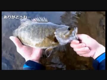 3.24 今日こそ釣りたい魚つり放送