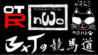 3×Tの競馬道 ～目指せ！一口馬主～ 第15回