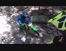 バイクで林道に行ったら大自然整備が始まった