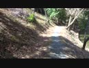 自転車の旅１０ですって