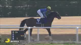 2018年　第48回 高松宮記念（GⅠ）【ファインニードル】