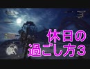 【ＭＨＷ】モンハンアンチだった俺が初めて実況プレイする（８．５話）