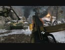 #39【COD WW2】第2次世界大戦下からこんにちは【つみき荘】