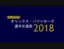 バンブラPでオリックス・バファローズ選手応援歌2018