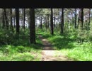 Person Cycling　ｂｙ　坂本まり