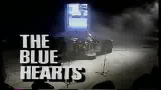 THE BLUE HEARTS / STUDIO LIVE