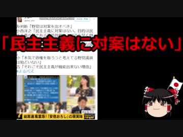 【ゆっくり保守】似非リベラルの「民主主義」が支持されないワケ