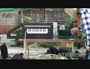 NT京都2018】鍵盤ハーモニカが「メルト」を演奏してみた【自動演奏】