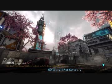 PC版タイタンフォール消耗戦