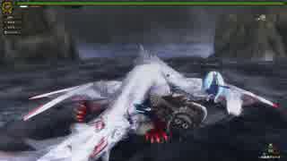 ハンターの頂点へと上り詰める為MHF-Z実況してた～【第７４章】後篇