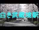 CM白き武蔵境駅　桜堤