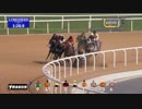 【落馬事故・ダ2000m】2018/03/15 メイダン1R Azizi Plaza
