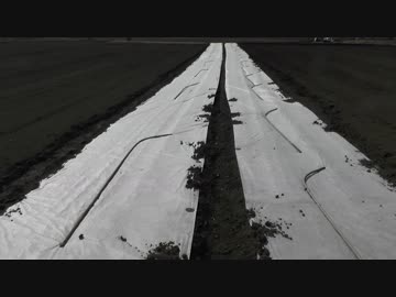 現在作業進行中