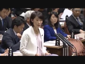 【佐川氏証人喚問】丸川珠代議員「安倍総理からの指示はありませんでしたね、昭恵夫人からもありませんでしたね」