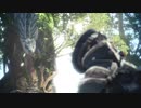 【MHW】関西人ハンター♀、狩りに行く！Part9