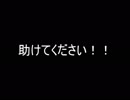 【助けて下さい】ミナミヌマエビ急死