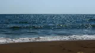 坂本まり　Strong Beach Waves Hitting Shore