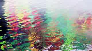 坂本まり　Colorful Reflections in Water