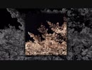 【コブクロ】桜 -Yozakura Trance-【リミックス】