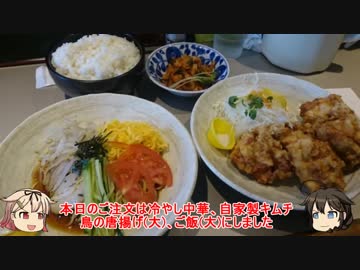 【ZZR】ゆっくり夕立＆時雨の珍道中　第2巻「二十麺創と岐阜バイクワールドでゆっくり」