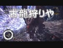 「【ソロ】ついに来た！クシャルダオラ」【MHW実況Part19】