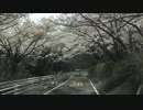 摂津峡2018