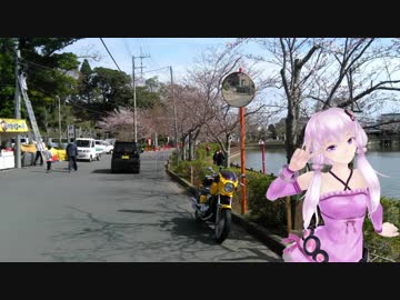 大洗凸＆お花見ツー（前編）【VoiceRoid車載】【3GB/1080p/60fps】