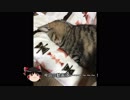 ゆっくりガンオンー名前はまだ無い！（ハンブラビで局地編5）