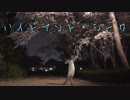 【あいあい】 ハイドアンド・シーク 【踊ってみた】