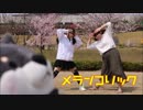 【まっちゃめろんぱん】メランコリック 踊ってみた【初投稿】