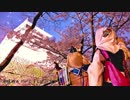 【刀剣乱舞】千本桜踊ってみた【義経主従】