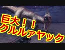 【MHW】イベクエクルルヤックはこんなにデカイ！！