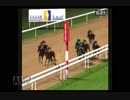 PS2ダービー馬をつくろう5_2018年ゴールデンシャヒーン
