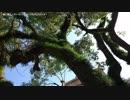 【生海月】なまくらじお【2018.4.2】