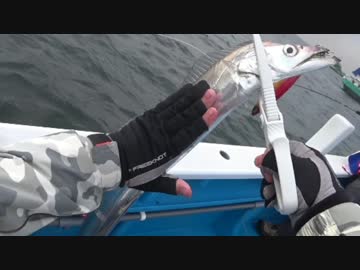 釣りどれんの電車釣行記　23　～二の腕地獄！タチウオジギングに挑戦～