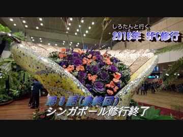 しろたんと行く　2018年ＳＦＣ修行　シンガポール編　その８