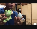 【高画質】メランコリックをアレンジして録ってみた。