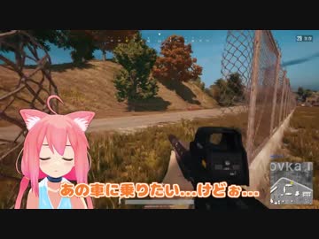 『猫宮ひなた』朝に嗅ぐマタタビの匂いは最高だ！【#5X】
