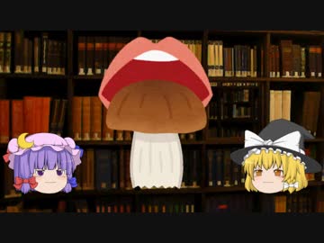 【フェラチオ】ゆっくり魔理沙と学ぶ夜の生物学14【ゆっくり解説】