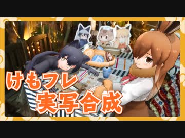 【MMDけもフレ】ようこそ、けもフレカフェ